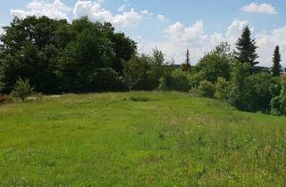 Grundstück zu kaufen in 85296 Rohrbach, Rohrbach Bestlage! Erschlossenes Baugrundstück für ein Einfamilienhaus! Bebaubar nach B-Plan!