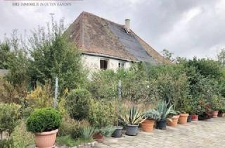 Mehrfamilienhaus kaufen in 92353 Postbauer-Heng, Ehemaliges Mühlengebäude mit Denkmalschutz