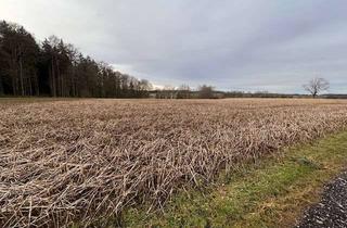 Gewerbeimmobilie kaufen in Tafertshofer Straße, 89290 Buch, +++Landwirtschaftliche Grundstück - Acker-Wiese+++