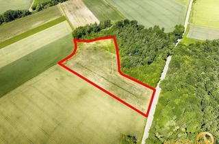 Grundstück zu kaufen in 93326 Abensberg, Abensberg/Sandharlanden: Grundstück mit 18.386 m² (Acker, Forst) zu verkaufen.