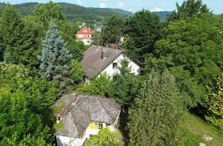 Haus kaufen in 34131 Kassel, Kassel - Charmantes Ein- bis Zweifamilienhaus in ruhiger, grüner Wohnlage von Kassel Bad?Wilhelmshöhe