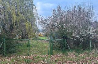 Haus kaufen in 37647 Polle, Polle - Einzigartiges Baugrundstück an der Weser