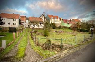 Haus kaufen in 97837 Erlenbach, Erlenbach bei Marktheidenfeld - Wohnhaus inkl. großem Grundstück u. Scheune