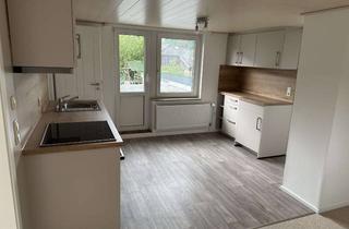 Wohnung mieten in Bredenhoop, 25767 Albersdorf, Neurenovierte, helle 2,5-Raum-Wohnung in Albersdorf