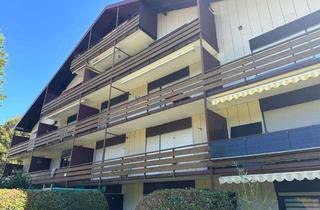 Wohnung mieten in Lindenstr., 66996 Ludwigswinkel, Charmante 1-Zimmer-Wohnung mit Balkon in naturnaher Umgebung – Möbliert & bezugsbereit (WE54)