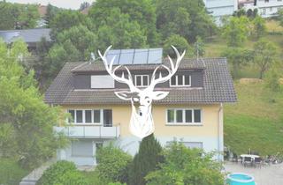 Wohnung mieten in 79761 Waldshut-Tiengen, Großzügig geschnittene Wohnung in ruhiger Lage von Eschbach zu vermieten