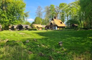 Haus kaufen in 23827 Wensin, Landsitz in Alleinlage im Kreis Segeberg