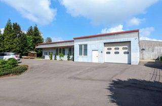 Gewerbeimmobilie kaufen in 42499 Hückeswagen, Attraktive Halle mit Bürofläche und Hausmeisterwohnung