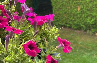 Doppelhaushälfte kaufen in Kapellenweg 10a, 85247 Schwabhausen, Charmante Doppelhaushälfte mit Garten in Schwabhausen