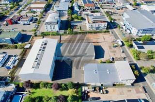 Gewerbeimmobilie kaufen in 64579 Gernsheim, VERKAUF ✓ Grundstück (8.000 m²) mit Lager (2.700 m²) & Büro-/Sozial (500 m²)