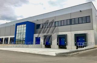 Büro zu mieten in 65462 Ginsheim-Gustavsburg, RAMPE + EBEN ✓ Lager-/Logistik (2.000 m²) & Büro-/Sozial (350 m²)