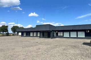 Gewerbeimmobilie mieten in Eichbaumstraße 17, 63674 Altenstadt, Vielseitig nutzbare Ausstellungsfläche – ca. 1.200 m² direkt an der A45 in Altenstadt zu vermieten