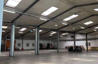 Gewerbeimmobilie mieten in Riedstraße 22, 67125 Dannstadt-Schauernheim, Lagerhalle zum mieten in guter Umgebung