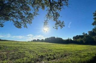 Gewerbeimmobilie mieten in 86564 Brunnen, ca. 8.726 m² große Ackerfläche ab sofort für 440,00 € p.a. zu verpachten!