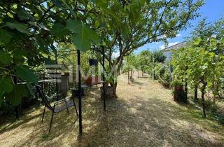 Haus kaufen in 67281 Kirchheim, Ob Wohnmobil, Traktor, Winzerhof - EFH mit Scheune und großem Garten!