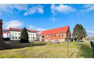 Mehrfamilienhaus kaufen in 06679 Hohenmölsen, Hohenmölsen - Traumgrundstück mit Mehrfamilienhaus, Nebengebäuden und großem Bauland - Ihr persönliches Paradies