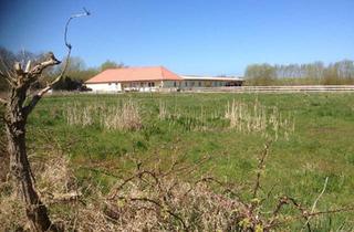 Haus kaufen in 23968 Gägelow, Gägelow - Haus, Hof, Ostsee nahe Werft Wismar: 4 Wohnungen + Pferdestall