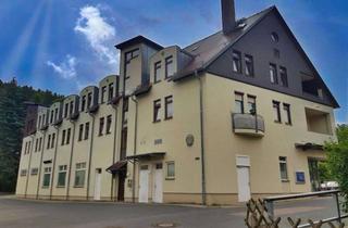 Wohnung kaufen in 01744 Schmiedeberg, Attraktives Wohnungspaket (15 ETW) mit 8 % Rendite!