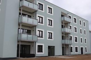 Wohnung mieten in Rosenhof 16 A, 64560 Riedstadt, 3 Zimmer Neubauwohnung in Riedstadt Goddelau
