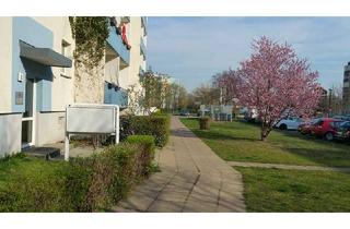 Wohnung mieten in Max-Herm-Straße 21, 14772 Hohenstücken, lassen Sie sich diese Wohnung nicht wegschnappen!