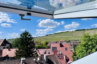 Wohnung mieten in 97070 Würzburg, Zentral in Würzburg: Dachgeschosswohnung mit zwei Dachterrassen