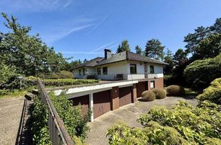 Mehrfamilienhaus kaufen in 29456 Hitzacker, Top gepflegtes Mehrfamilienhaus in bevorzugter Wohnlage in Hitzacker/Elbe – Ruhig und doch zentral!