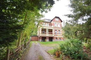 Villa kaufen in 38889 Blankenburg, schicke Villa im Blankenburger Villenviertel, einzugsbereit, provisionsfrei, direkt vom Verkäufer
