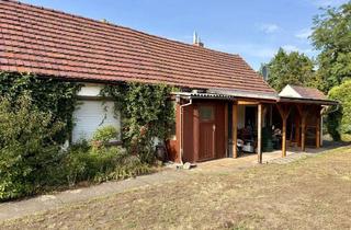 Haus kaufen in 03050 Sachsendorf, BESONDERE GELEGENHEIT IN COTTBUS | Kleines Haus mit tollen Grundstück- ab sofort verfügbar!