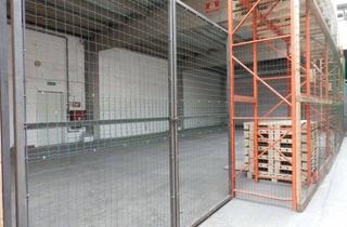 Gewerbeimmobilie mieten in 65239 Hochheim, Lagerfläche von ca. 170 m², hell, beheizbar, abschließbar, zu vermieten