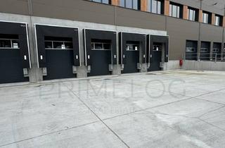 Büro zu mieten in 55252 Kastel, Q4 2026 | ca. 20.000 m² Lager-/ Logistikfläche + ca. 1.200 m² Büro