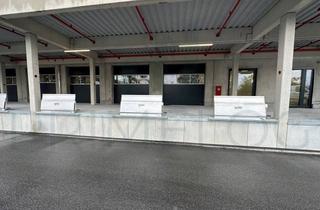 Büro zu mieten in 65479 Raunheim, ca. 20.000 m² Lager-/ Logistikfläche + ca. 1.200 m² Büro | ebenerdig + Rampe | Q4 2026