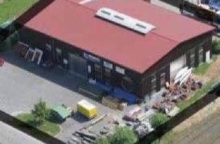 Gewerbeimmobilie kaufen in Eckener Str., 71706 Markgröningen, Zimmerei-Halle mit Ausbaupotential auf großzügigem Eckgrundstück