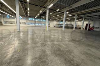 Büro zu mieten in 64589 Stockstadt, PROVISIONSFREI | ca. 13.000 m²Lager-/ Logistikfläche | Büro | Rampe & ebenerdig | ca. 10,00 m UKB