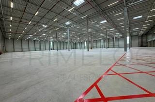 Gewerbeimmobilie mieten in 63505 Langenselbold, JETZT ANRUFEN | ca. 15.000 m² Lager-/Produktionsfläche | Q1 2026