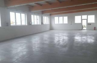 Gewerbeimmobilie mieten in Schlingener Str. 1a, 86842 Türkheim, Lagerhalle zu vermieten