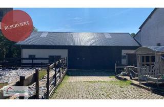 Grundstück zu kaufen in 54441 Kirf, VIELSEITIGE MÖGLICHKEITEN! ZWEI BAUGRUNDSTÜCKE MIT GR. NEUWERTIGER HALLE!