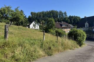 Grundstück zu kaufen in 57223 Kreuztal, Baugrundstück in Kreuztal-Fellinghausen