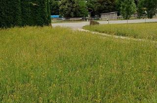 Grundstück zu kaufen in 84092 Bayerbach, Idyllisches Baugrundstück -Nähe Bayerbach b. Ergoldsbach