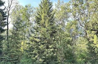 Gewerbeimmobilie kaufen in 83043 Bad Aibling, Ideal für Kachelofenbesitzer!