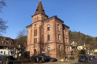 Gewerbeimmobilie kaufen in 79650 Schopfheim, Büro- oder Praxisfläche am Rande der Altstadt in einem einzigartigen Gebäude