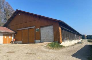 Büro zu mieten in 94575 Windorf, Lagerhalle Nähe A3