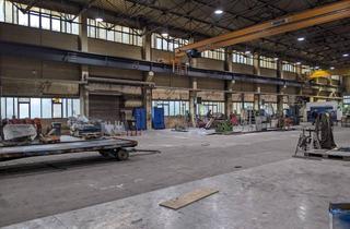 Büro zu mieten in 19061 Schwerin, Ebenerdige Produktions/Lagerhalle mit Kranbahnen