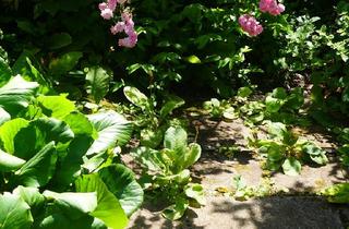 Wohnung mieten in 70806 Kornwestheim, Mietwohnungen, Ludwigsburg