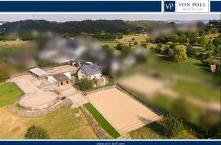 Einfamilienhaus kaufen in 56295 Lonnig, Helles Einfamilienhaus mit moderner Reitanlage