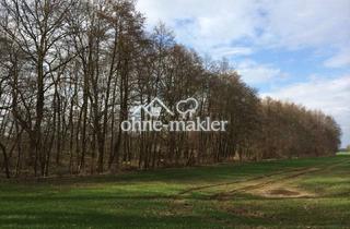 Immobilie kaufen in Ziegeleiweg, 04838 Jesewitz, Waldgrundstücke und Gewässer bei Leipzig - Wald - Forst - Privatwald - Waldfläche 1,25 € / qm