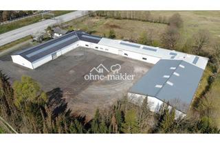 Büro zu mieten in Kamper Wohldweg, 24568 Kaltenkirchen, Gewerbe Hallen 100-614 m² in Nützen / Kaltenkirchen bei HH an der A 7 zu vermieten