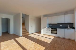 Wohnung mieten in 49824 Emlichheim, Großzügige Neubauwohnung mit Dachterrasse