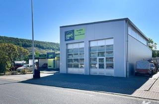 Gewerbeimmobilie kaufen in 63939 Wörth, Modernes Kfz-Service-Center mit Hand-Waschpark in frequentierter Lage von Wörth am Main