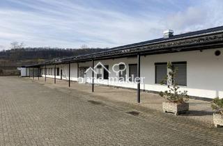 Gewerbeimmobilie kaufen in Glogauer Str., 31061 Alfeld, Gewerbeimmobilie, 1800qm Hallen, 6.500qm Grundfläche, davon 800qm vermietet