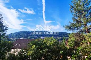 Wohnung kaufen in Am Hohenberg, 74653 Ingelfingen, Pittoreske Traumwohnung mit 4.5 Zimmern in Ingelfinger Stadtmitte